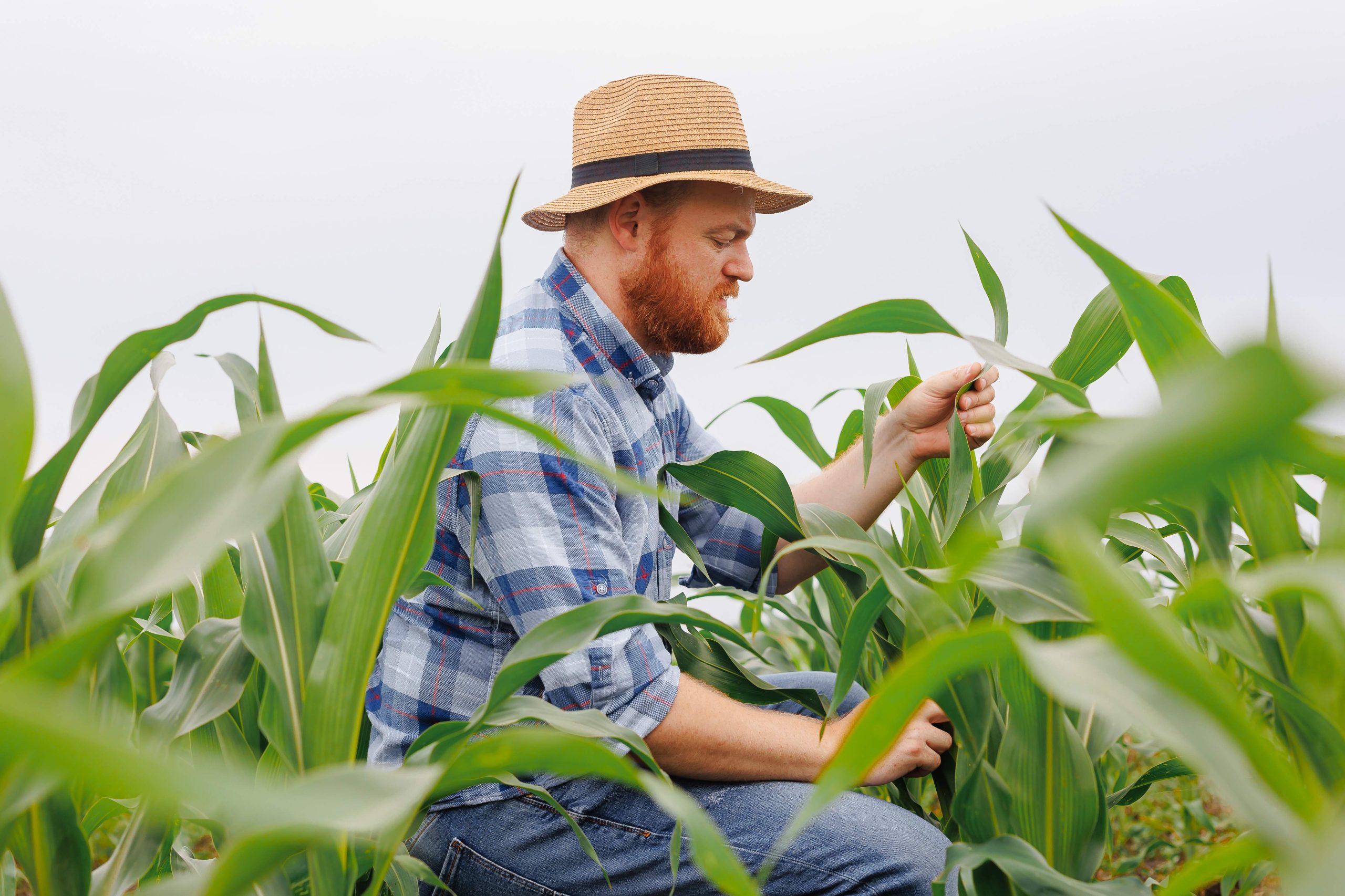 momentive agriculture agrochemicals distributor esca