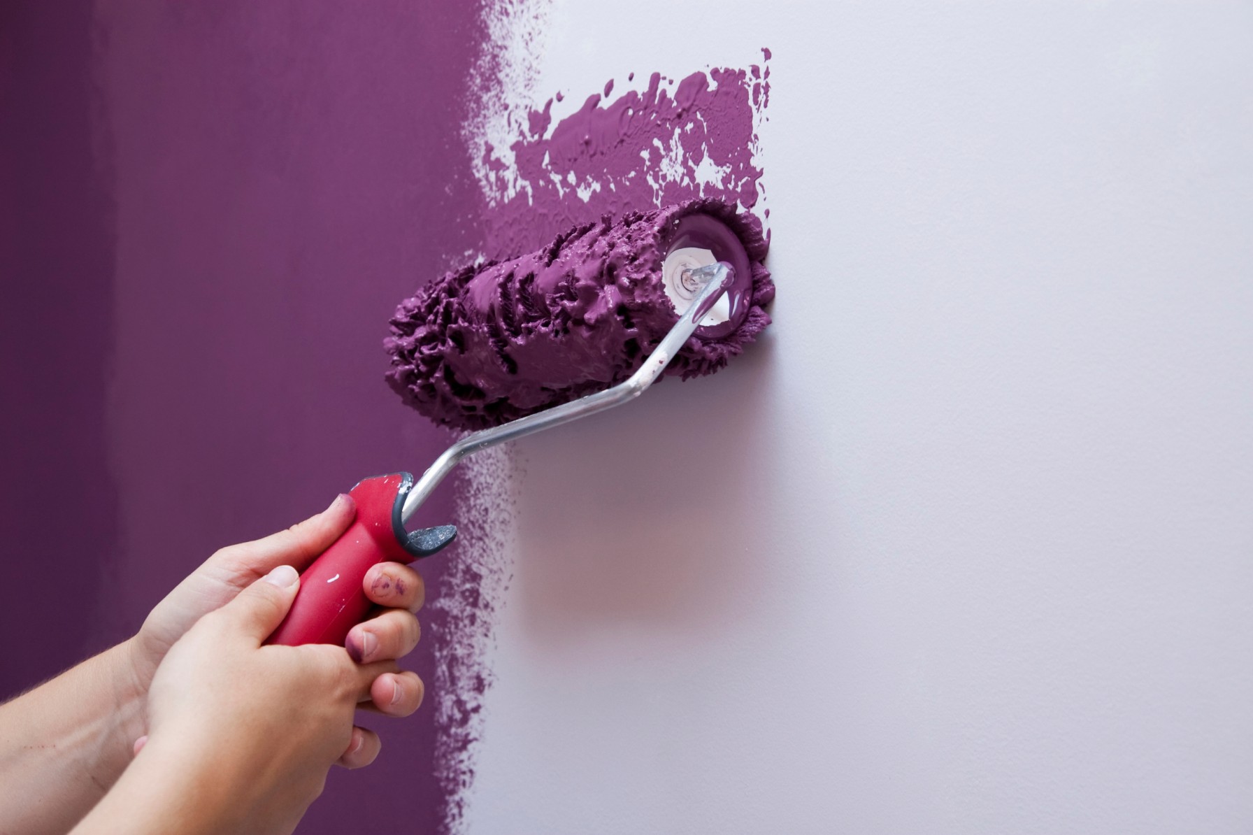 Close-up of hands using a red paint roller to apply purple paint onto a white wall, illustrating a coatings or paints application use case.
