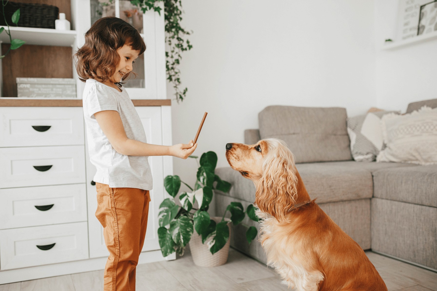 Little girl offering her dog a treat