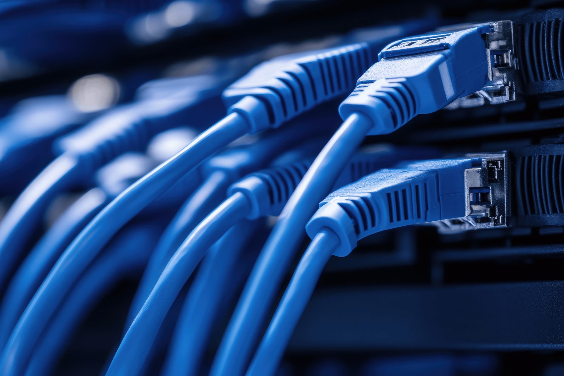 a bunch of blue ethernet cables