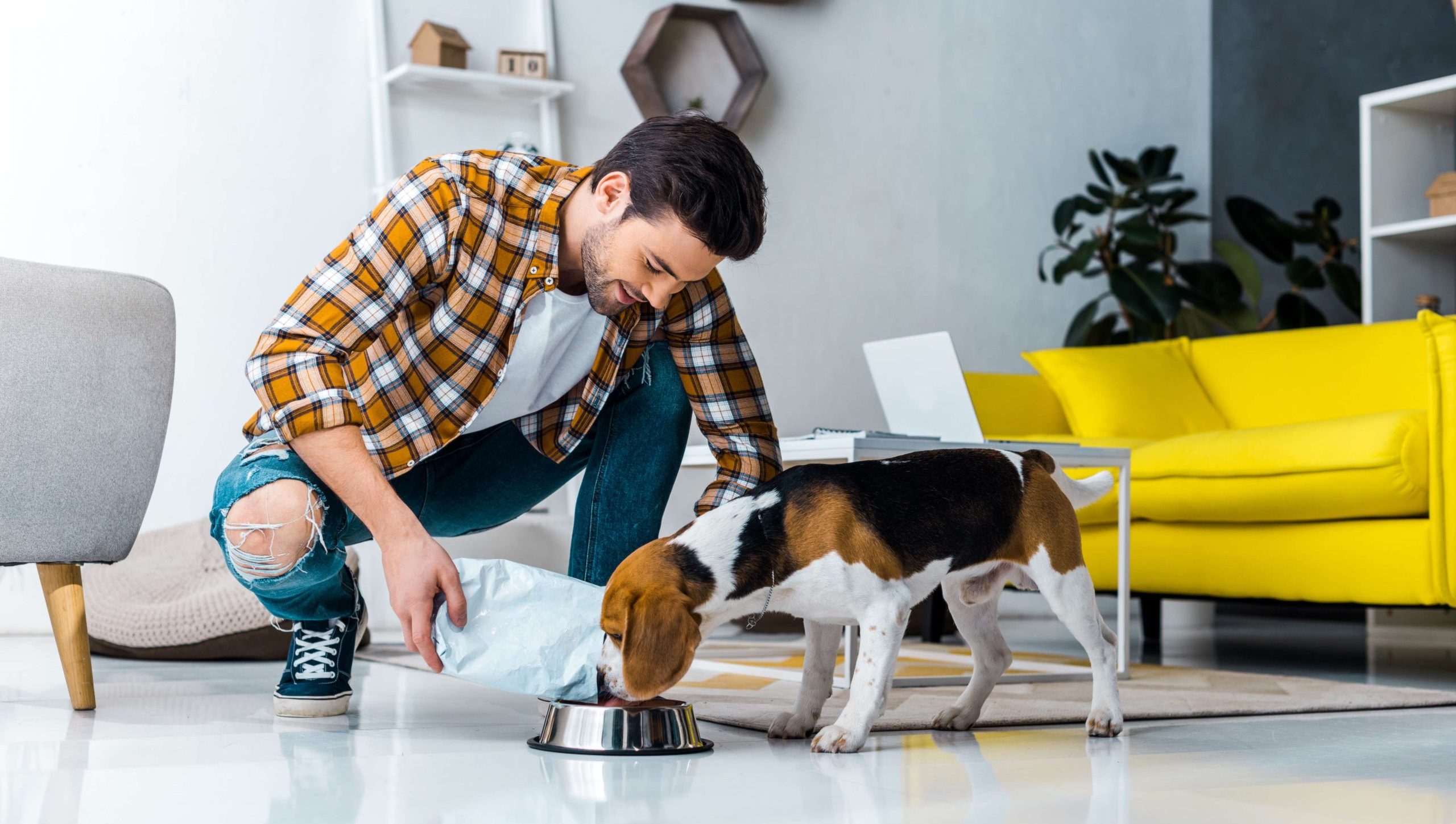 Animal nutrition market page.