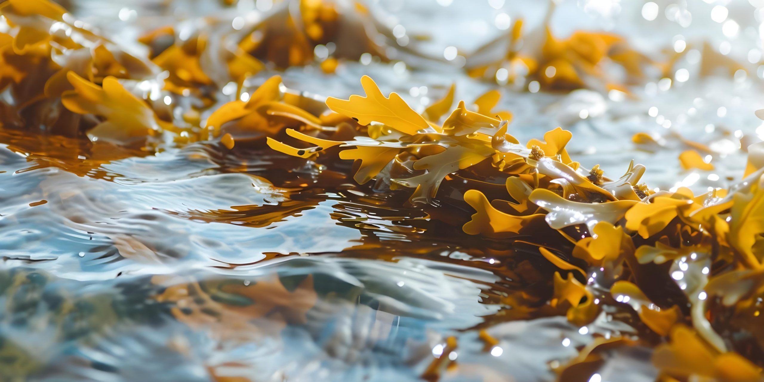 Safic-Alcan Member ChemSpec Partners with Carbonwave on SeaBalance® 2000